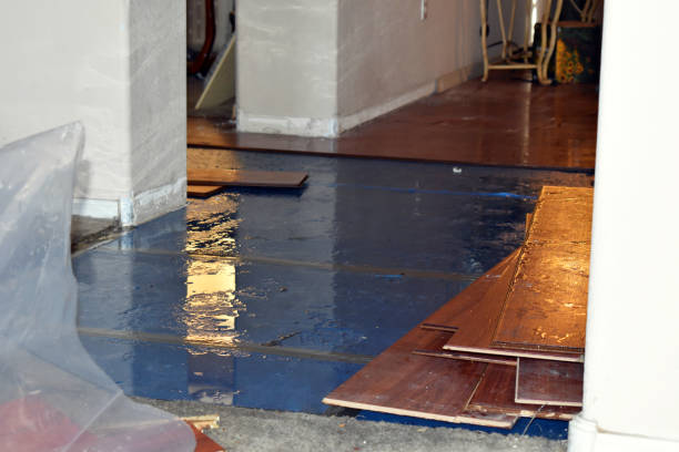 Professional Emergency Water Damage Restoration technician working in Brighton, MI